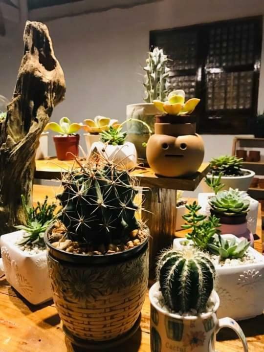 Samkara Restaurant And Garden Resort Lucban Εξωτερικό φωτογραφία